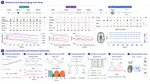 Modeling Behavioral and Neuroimaging Dynamics