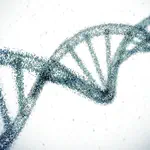 Hypothesis Testing with Genetic Variants in Longitudinal and Time-to-Event Data