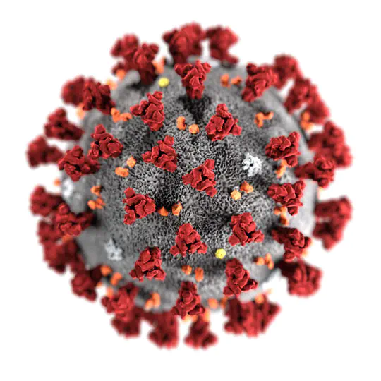 Examining COVID-19 Incubation Times